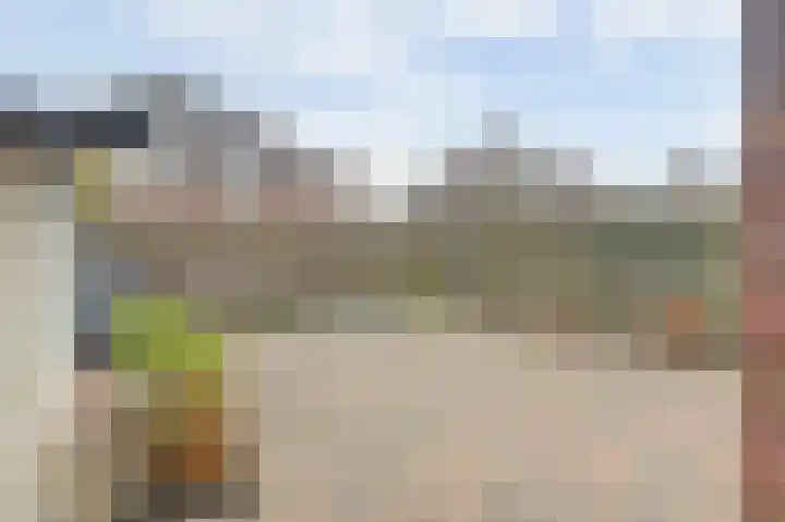 Dubbelde Skeer 32 Hippolytushoef thumbnail 32