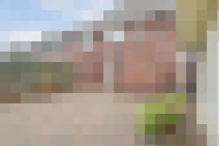 Dubbelde Skeer 32 Hippolytushoef thumbnail 33