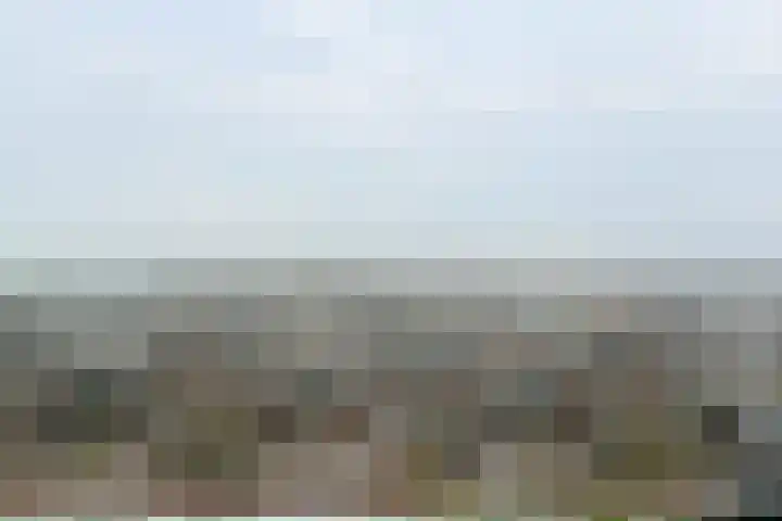 Dubbelde Skeer 32 Hippolytushoef thumbnail 34