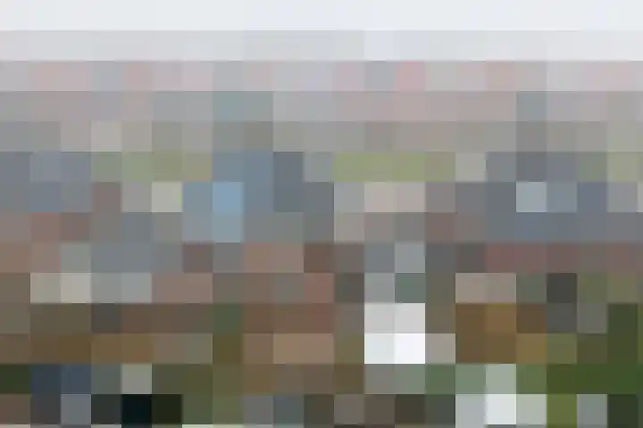 Dubbelde Skeer 32 Hippolytushoef thumbnail 35