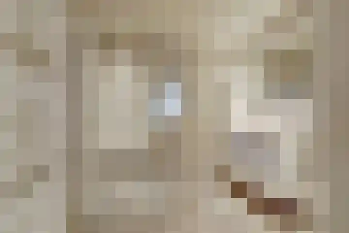 Dubbelde Skeer 32 Hippolytushoef thumbnail 4