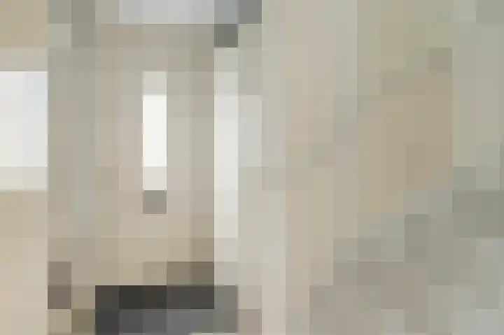 Dubbelde Skeer 32 Hippolytushoef thumbnail 7