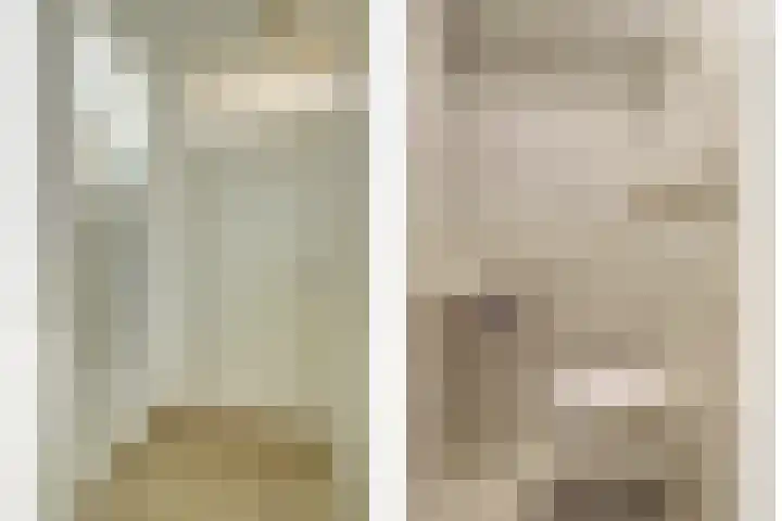 Dubbelde Skeer 32 Hippolytushoef thumbnail 8