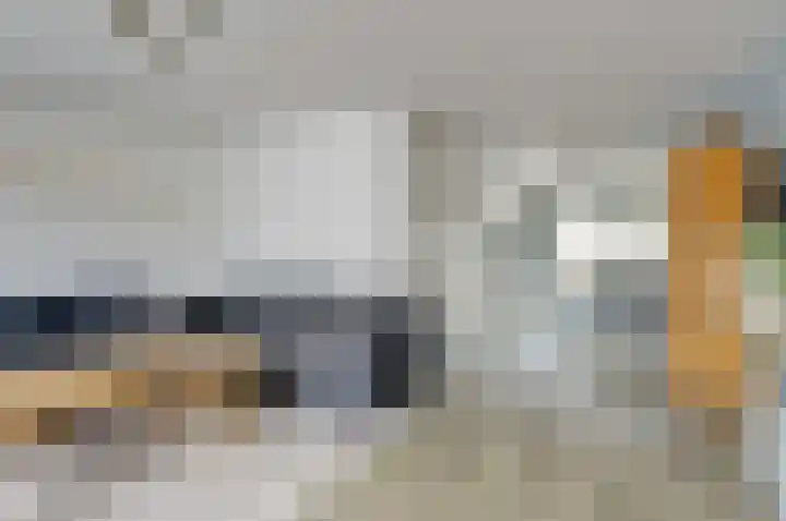 Dubbelde Skeer 32 Hippolytushoef thumbnail 9