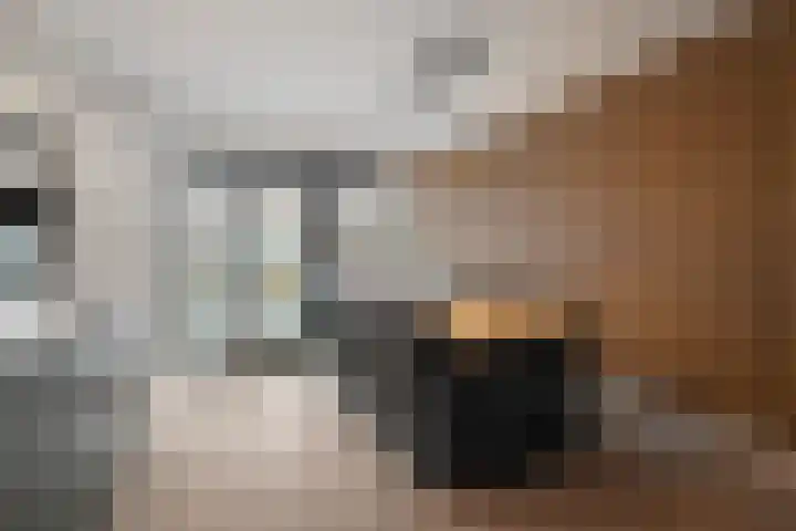 Dubbelde Skeer 7 Hippolytushoef thumbnail 13