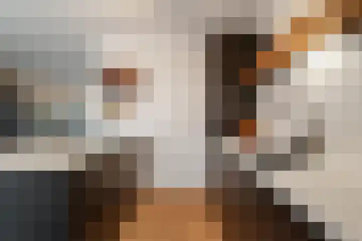 Dubbelde Skeer 7 Hippolytushoef thumbnail 15