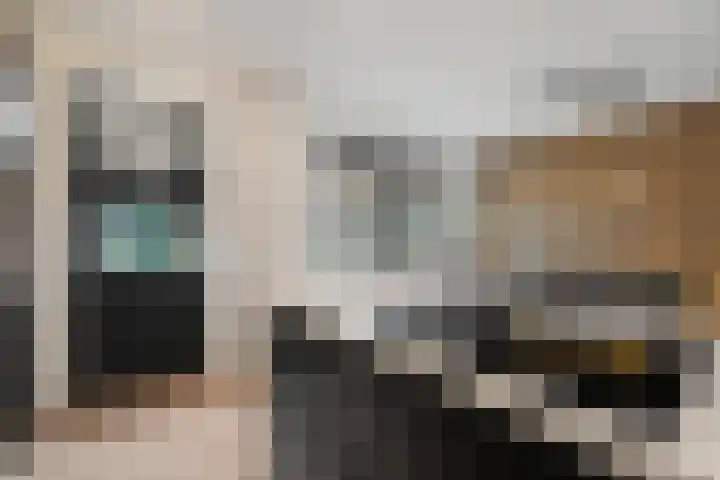 Dubbelde Skeer 7 Hippolytushoef thumbnail 16