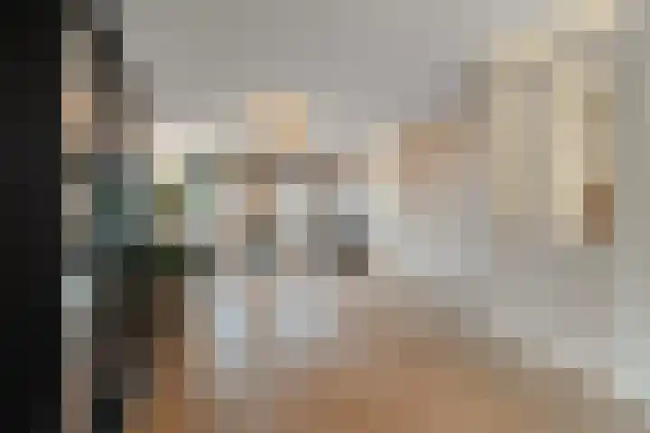 Dubbelde Skeer 7 Hippolytushoef thumbnail 18