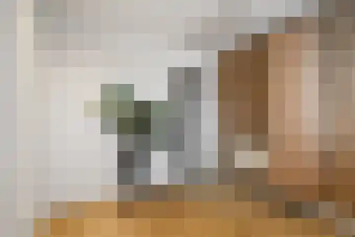 Dubbelde Skeer 7 Hippolytushoef thumbnail 19