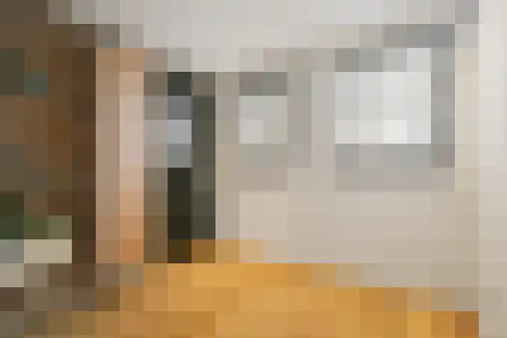 Dubbelde Skeer 7 Hippolytushoef thumbnail 20