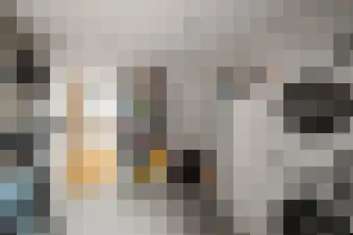 Dubbelde Skeer 7 Hippolytushoef thumbnail 21