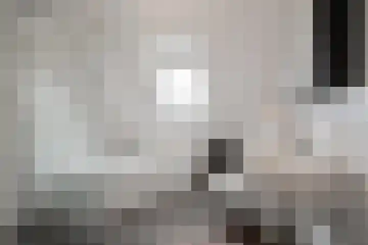 Dubbelde Skeer 7 Hippolytushoef thumbnail 22