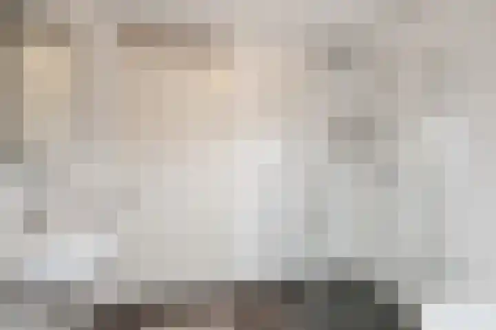 Dubbelde Skeer 7 Hippolytushoef thumbnail 23