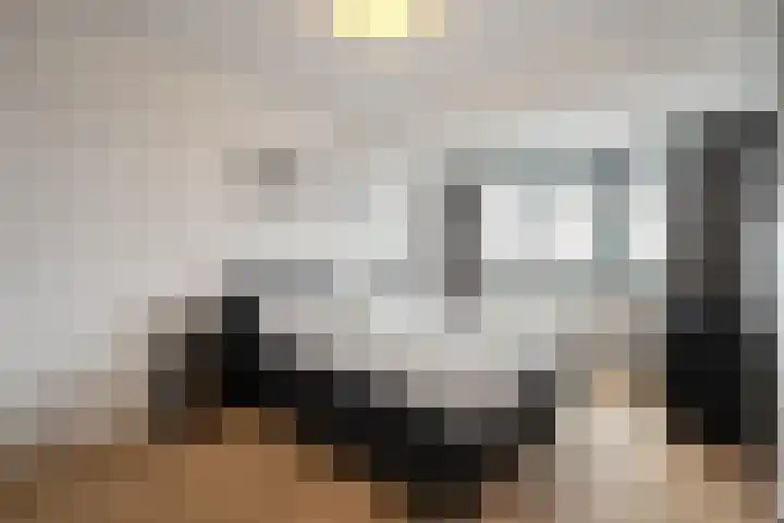 Dubbelde Skeer 7 Hippolytushoef thumbnail 24