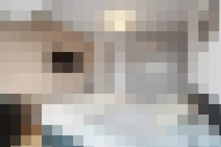 Dubbelde Skeer 7 Hippolytushoef thumbnail 25