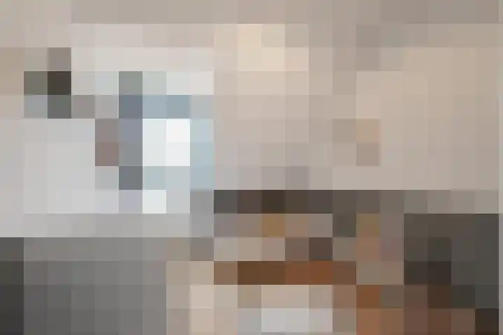 Dubbelde Skeer 7 Hippolytushoef thumbnail 26