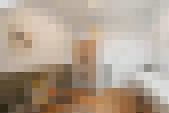 Dubbelde Skeer 7 Hippolytushoef thumbnail 27