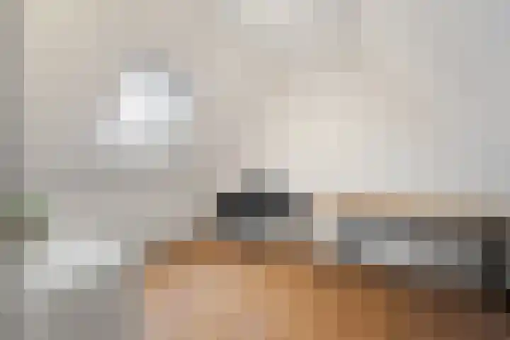 Dubbelde Skeer 7 Hippolytushoef thumbnail 30