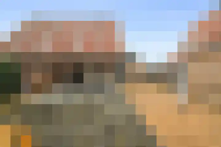 Dubbelde Skeer 7 Hippolytushoef thumbnail 33