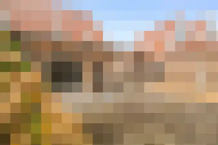 Dubbelde Skeer 7 Hippolytushoef thumbnail 35