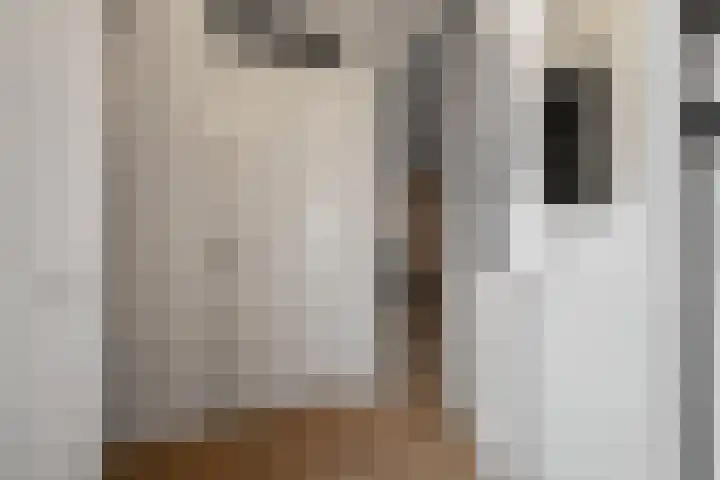 Dubbelde Skeer 7 Hippolytushoef thumbnail 4