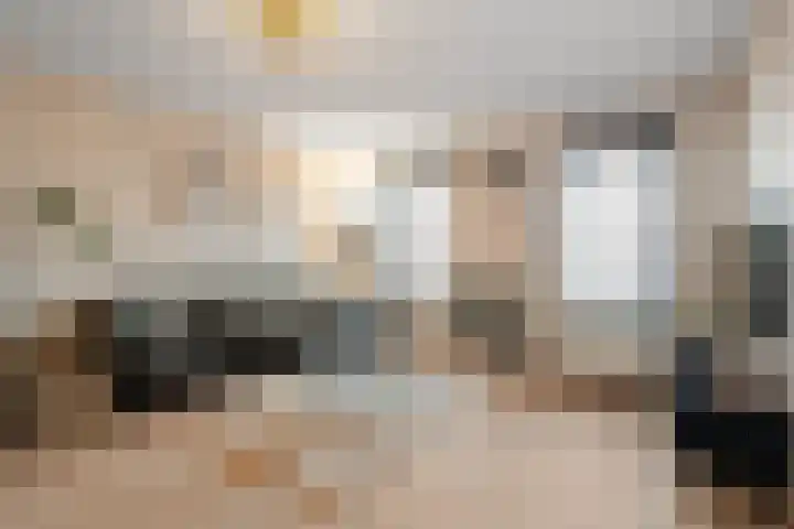 Dubbelde Skeer 7 Hippolytushoef thumbnail 7
