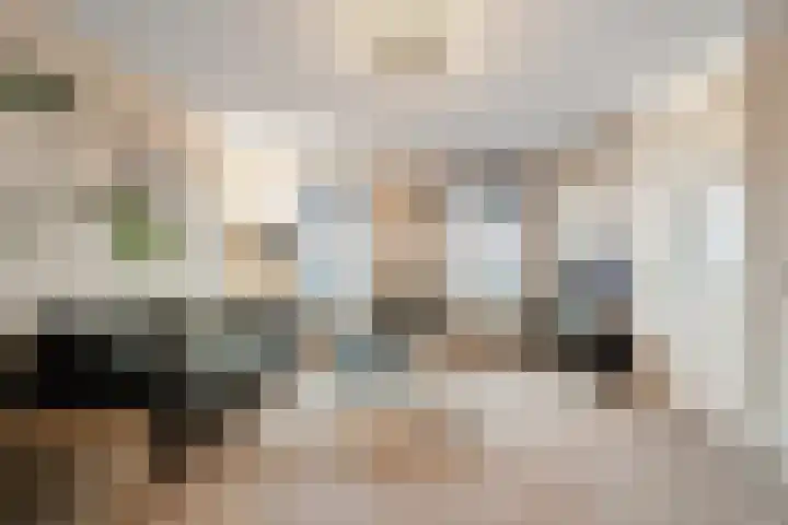 Dubbelde Skeer 7 Hippolytushoef thumbnail 8