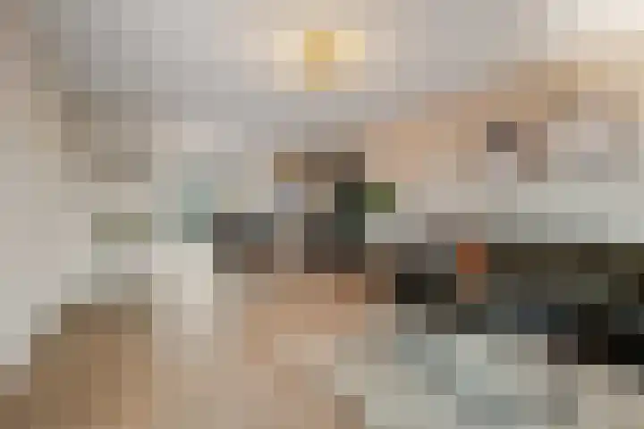 Dubbelde Skeer 7 Hippolytushoef thumbnail 9