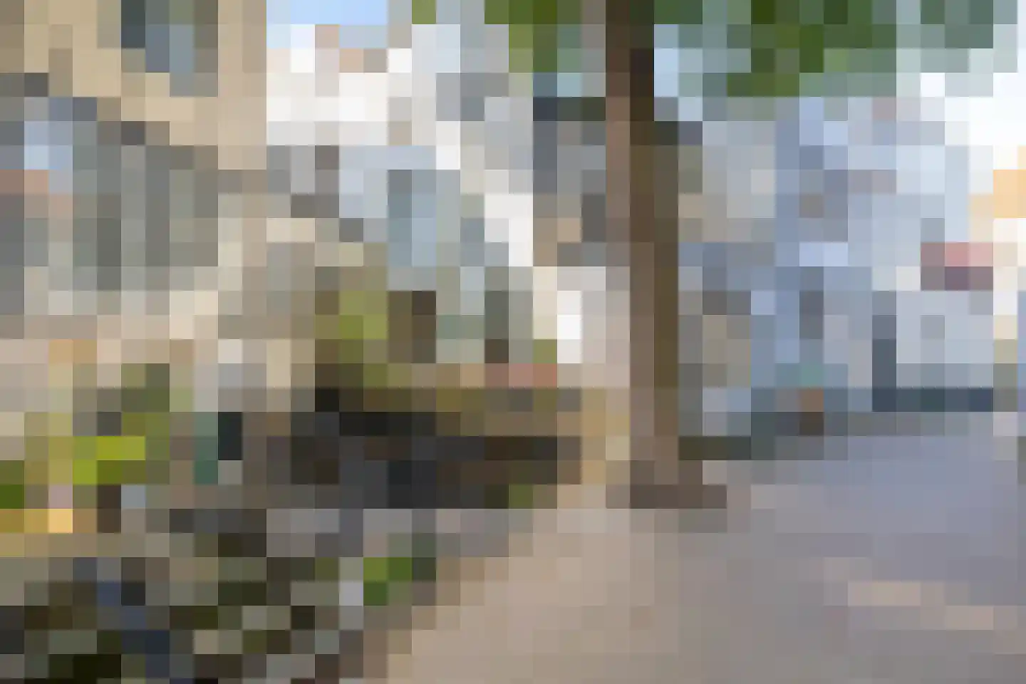 Dubbele Buurt 11 d Gouda thumbnail 45