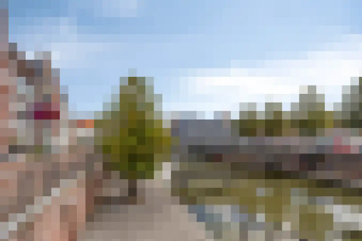 Dubbele Poort 11 Hulst thumbnail 29