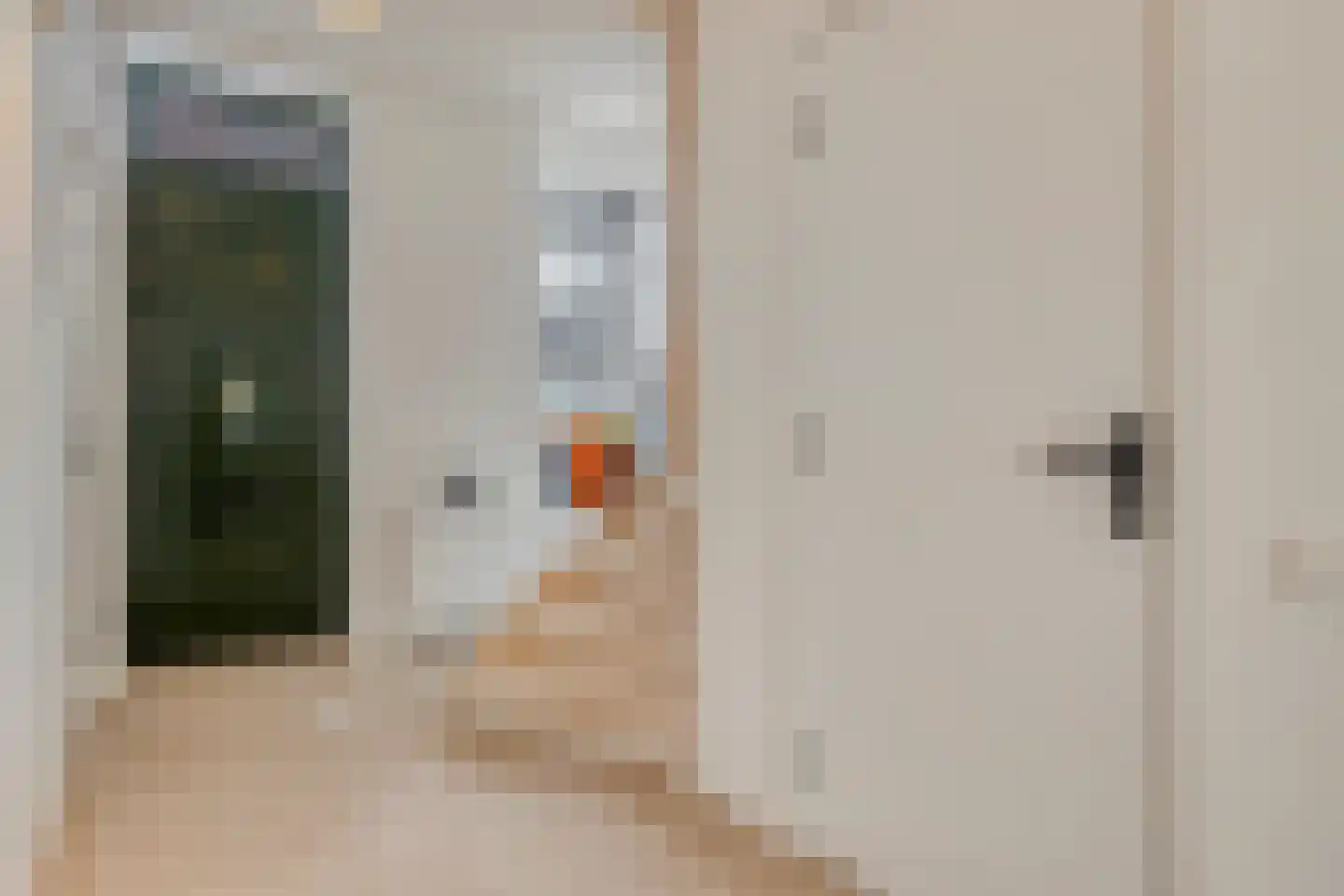 Dubbele Poort 11 Hulst thumbnail 7