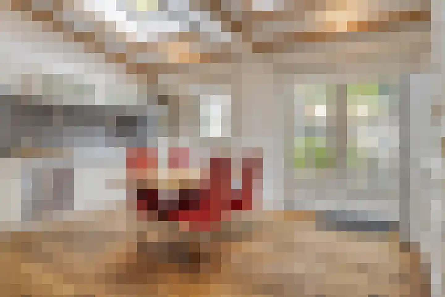 Dubbele Poort 21 Hulst thumbnail 10