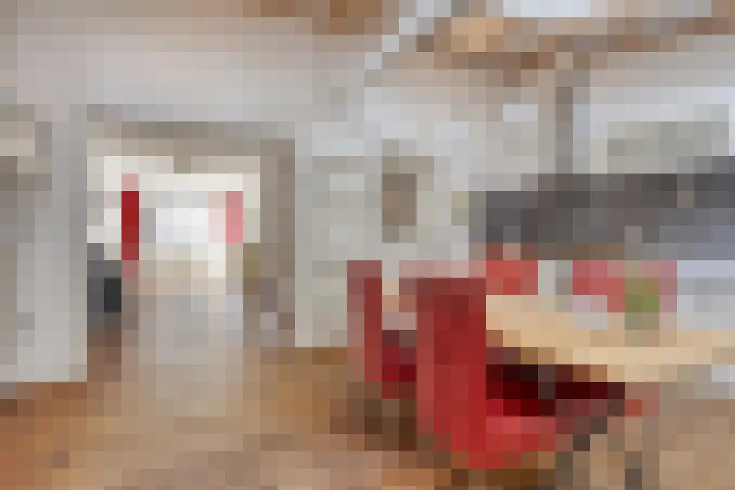 Dubbele Poort 21 Hulst thumbnail 11