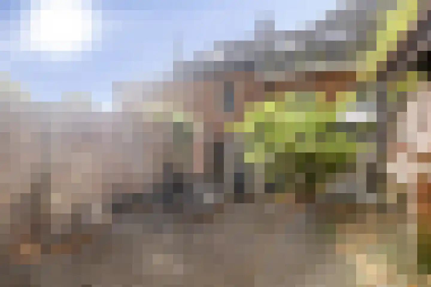 Dubbele Poort 21 Hulst thumbnail 31