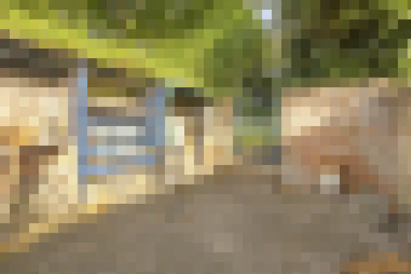 Dubbele Poort 21 Hulst thumbnail 32