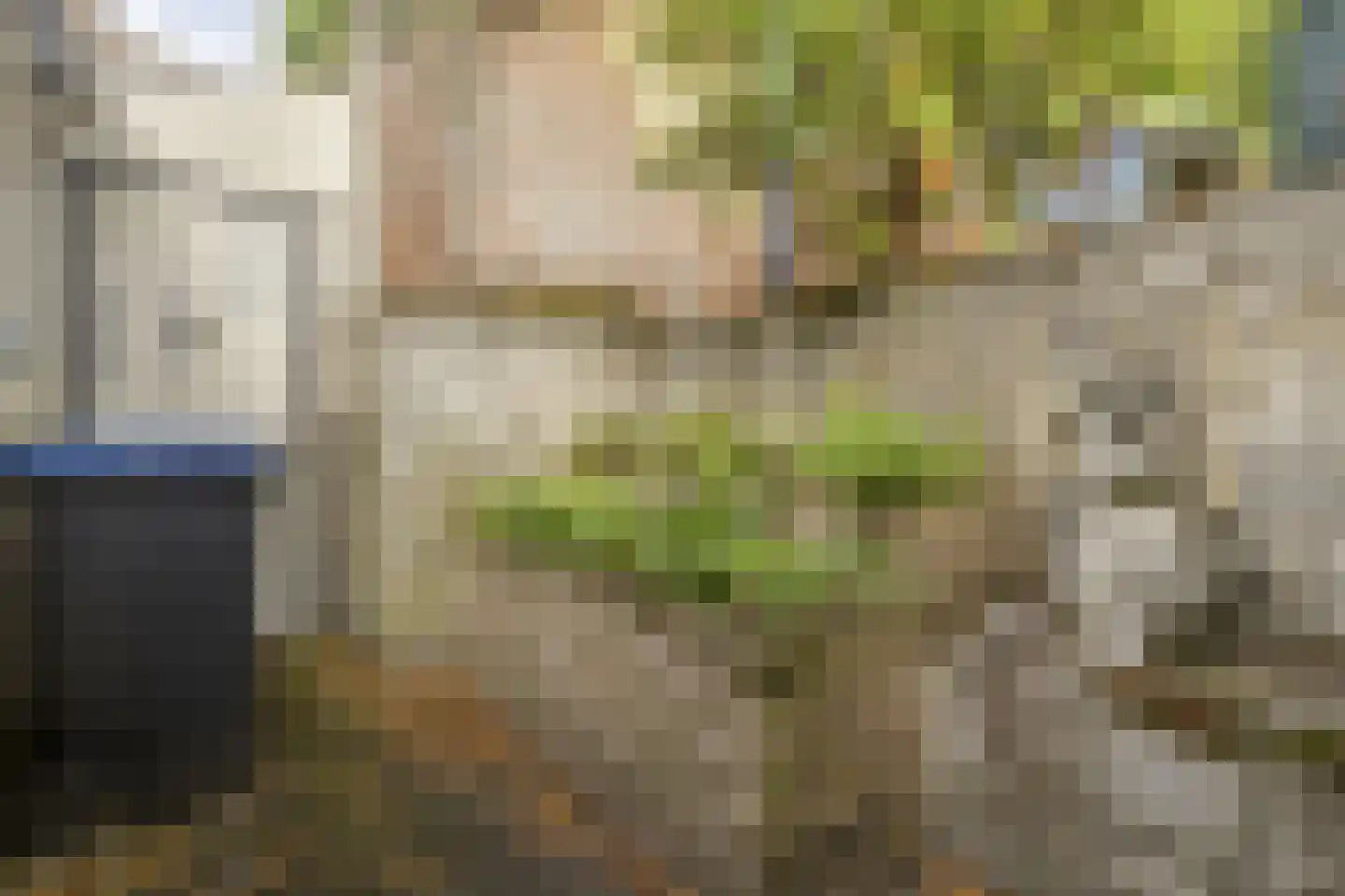 Dubbele Poort 21 Hulst thumbnail 33