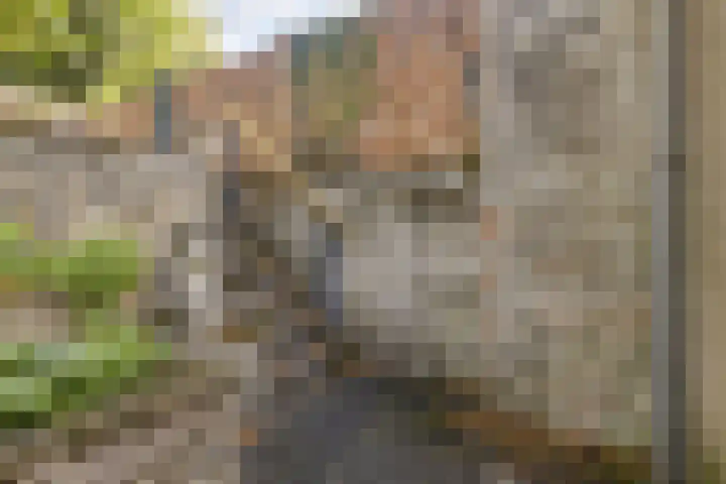 Dubbele Poort 21 Hulst thumbnail 34