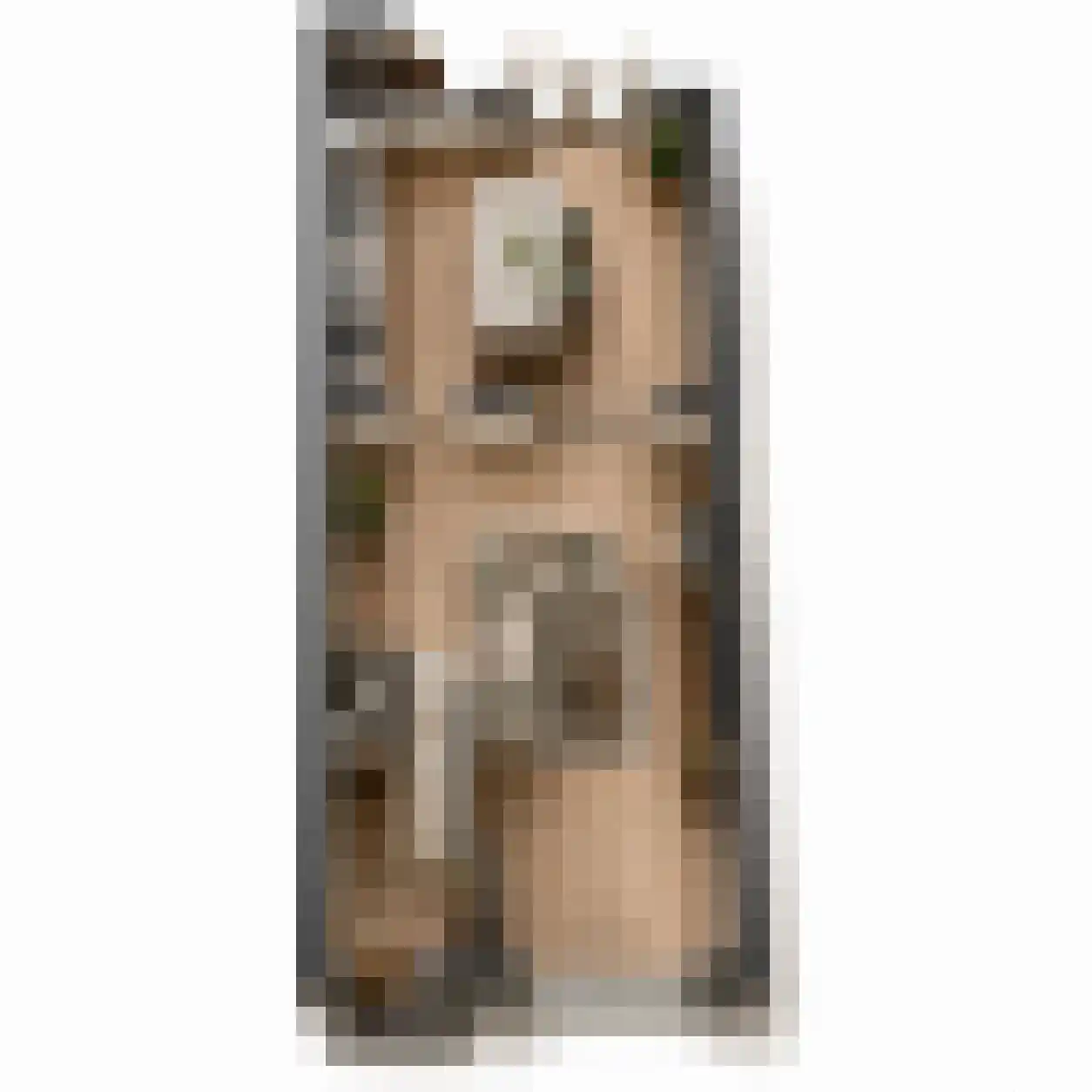 Dubbele Poort 21 Hulst thumbnail 43