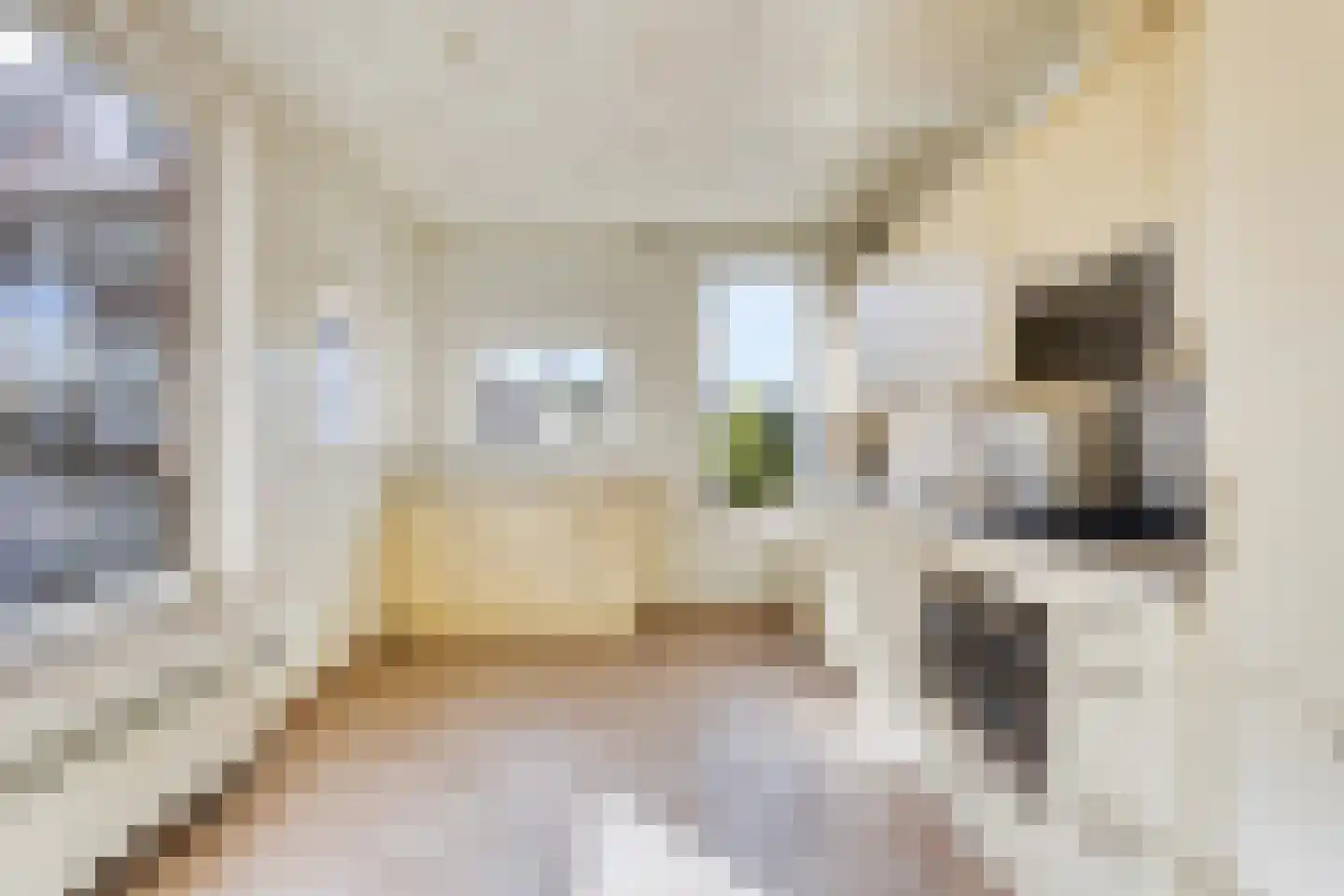Dubbele Poort 7 A Hulst thumbnail 10