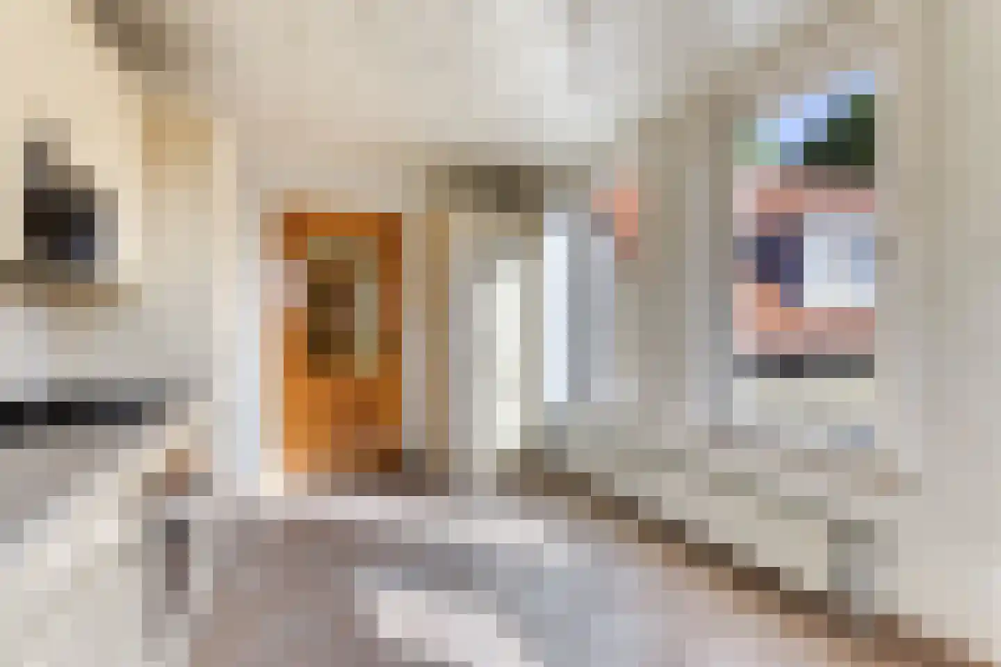Dubbele Poort 7 A Hulst thumbnail 11