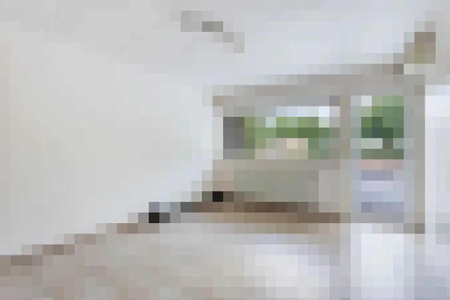 Dubbele Poort 7 A Hulst thumbnail 12