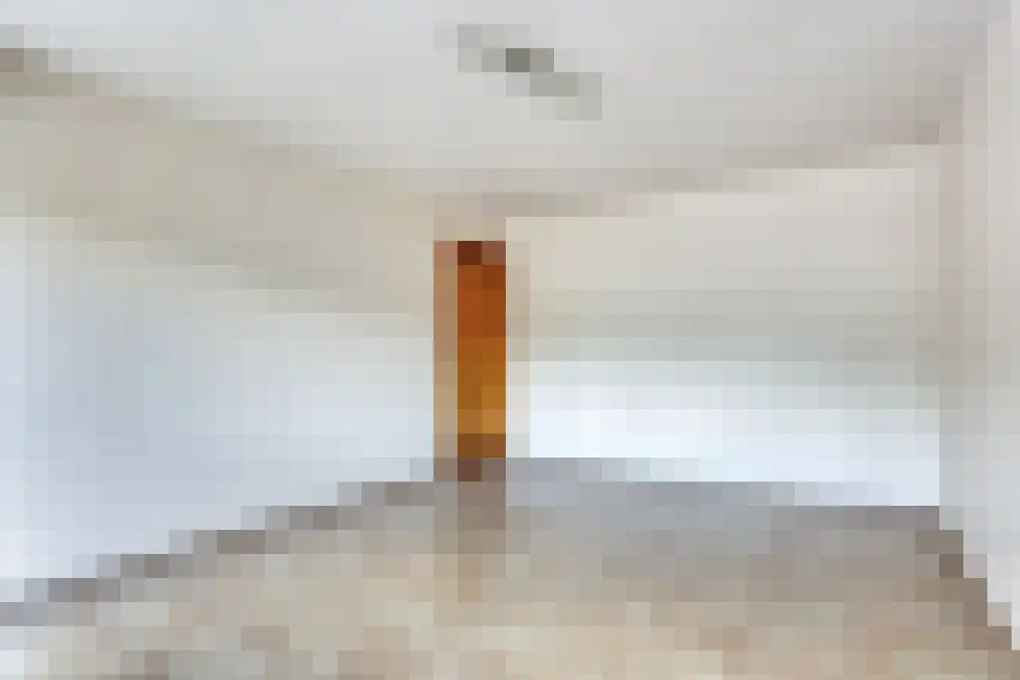 Dubbele Poort 7 A Hulst thumbnail 13