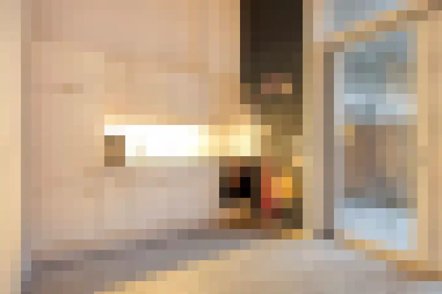 Dubbele Poort 8 Hulst thumbnail 10