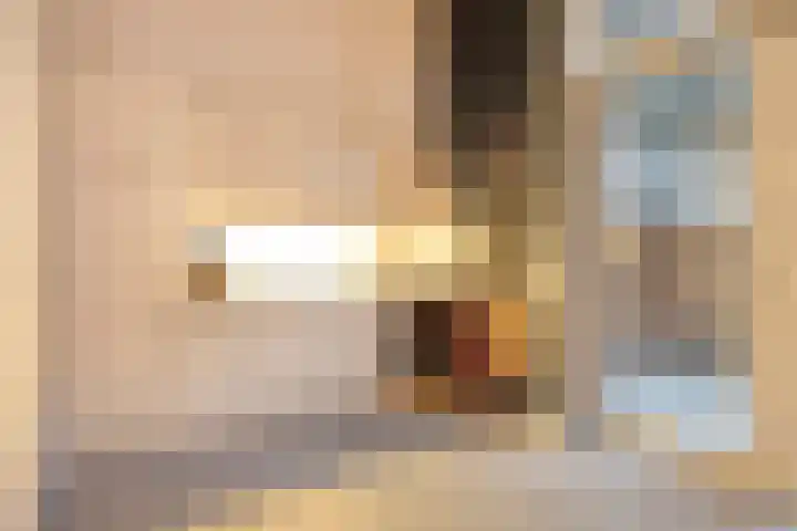 Dubbele Poort 8 Hulst thumbnail 13