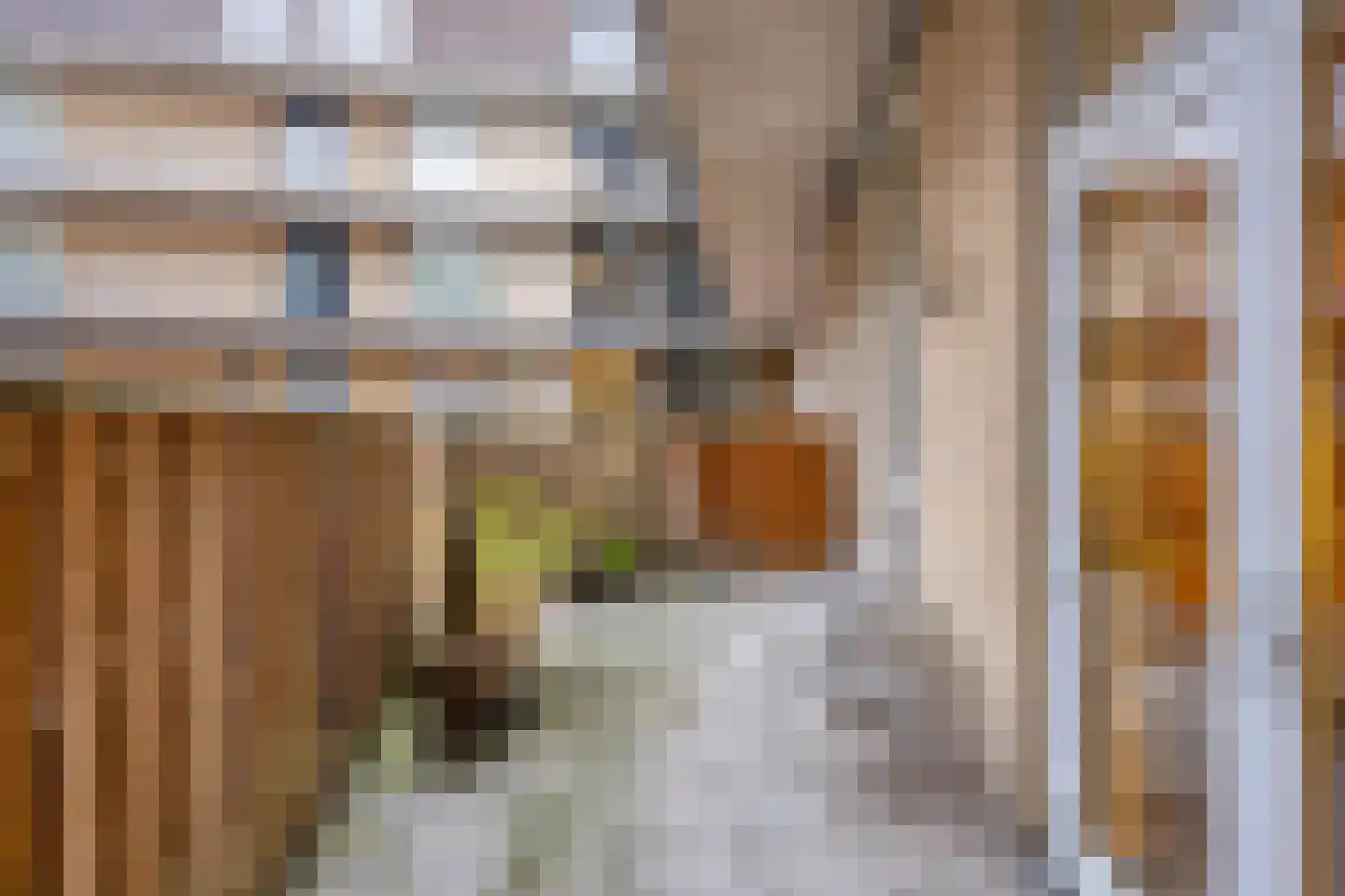 Dubbele Poort 8 Hulst thumbnail 15