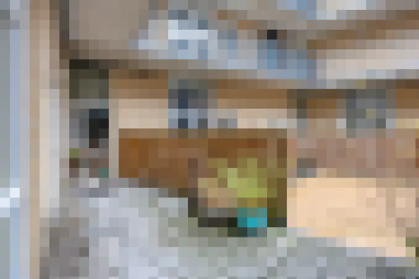 Dubbele Poort 8 Hulst thumbnail 16