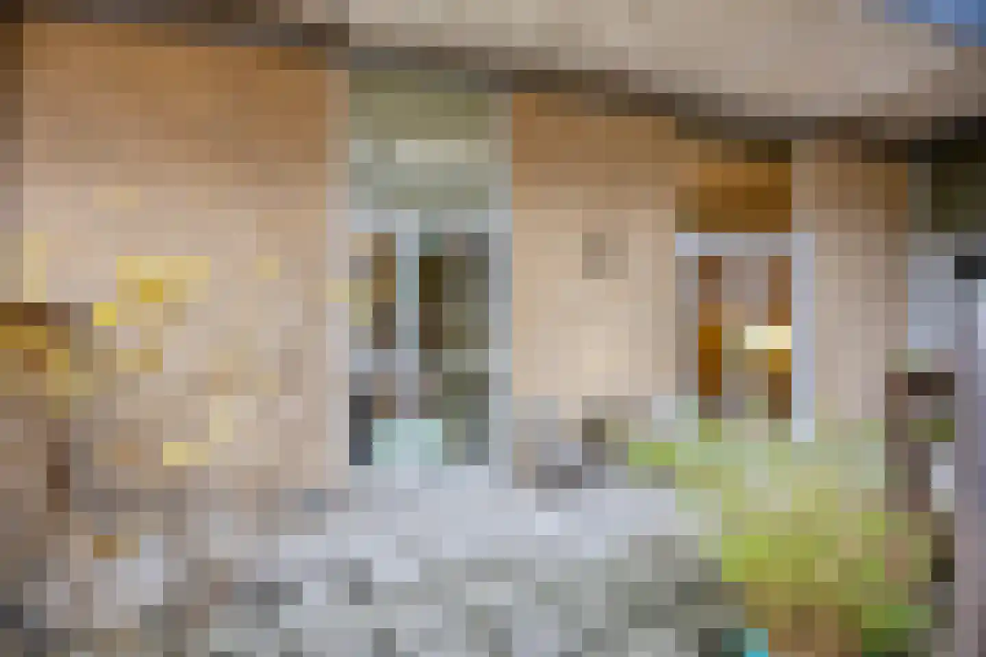 Dubbele Poort 8 Hulst thumbnail 18