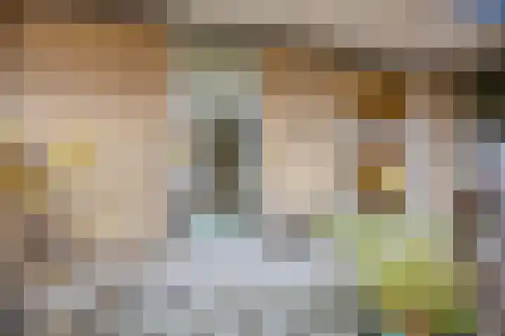 Dubbele Poort 8 Hulst thumbnail 22