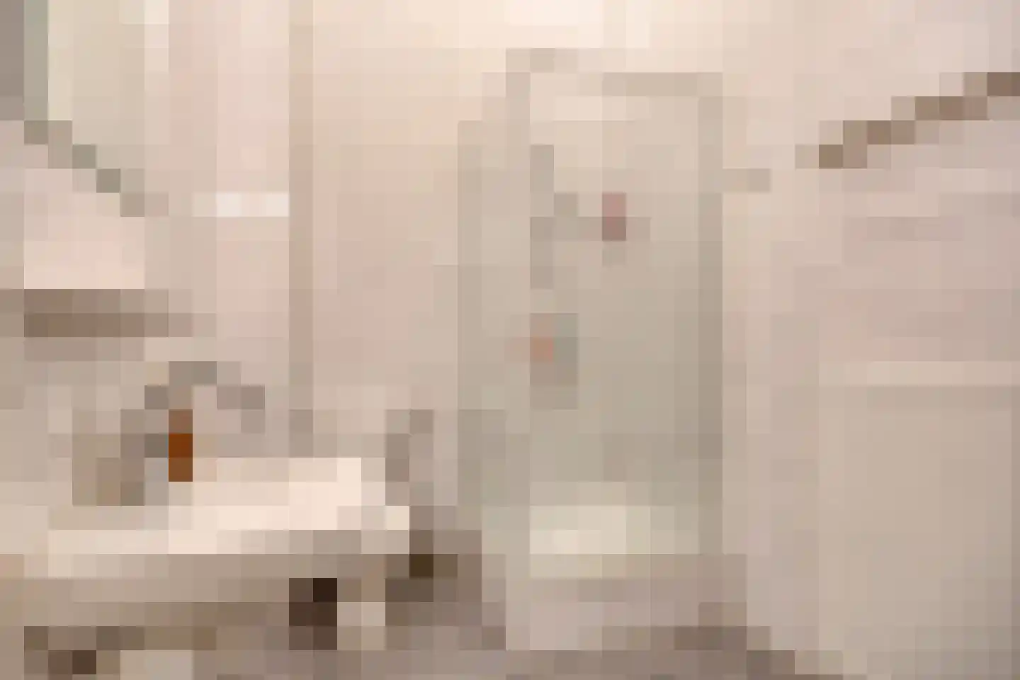 Dubbele Poort 8 Hulst thumbnail 25
