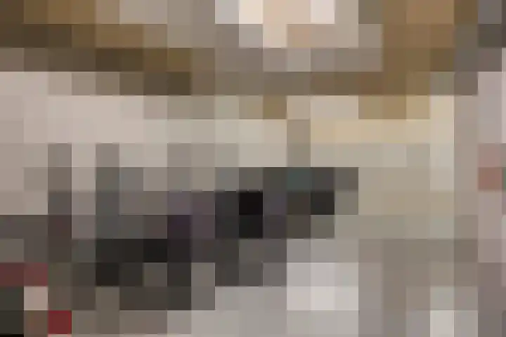 Dubbele Poort 8 Hulst thumbnail 27